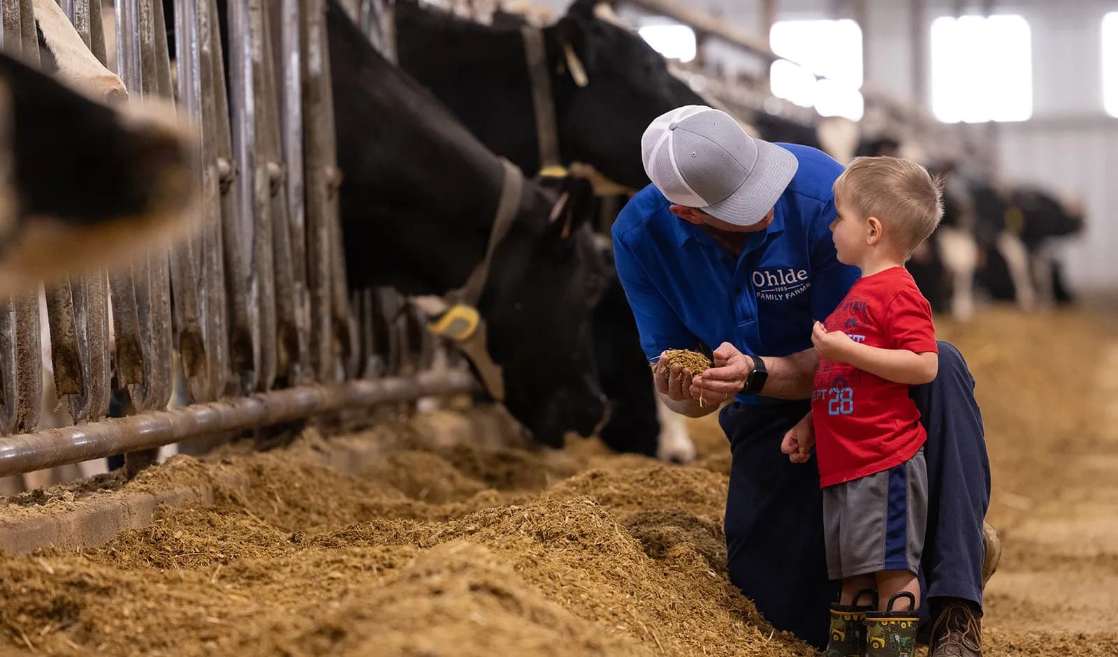 Een beter boerenleven